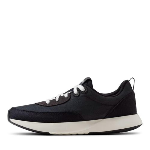Allbirds Courier